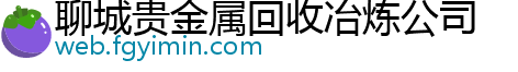 聊城贵金属回收冶炼公司